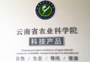 云南省农业科学院科技产品电子商务营销中心成立 开启科技兴农新篇章