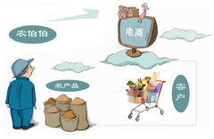 农产品电子商务经营模式创新与挑战